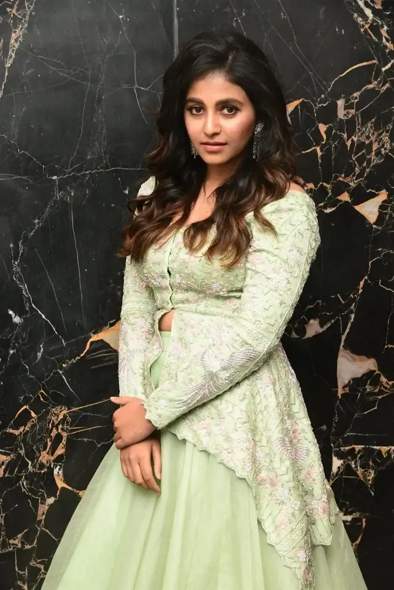 South Indian Actress Anjali Stills in Traditional Light Green Dress